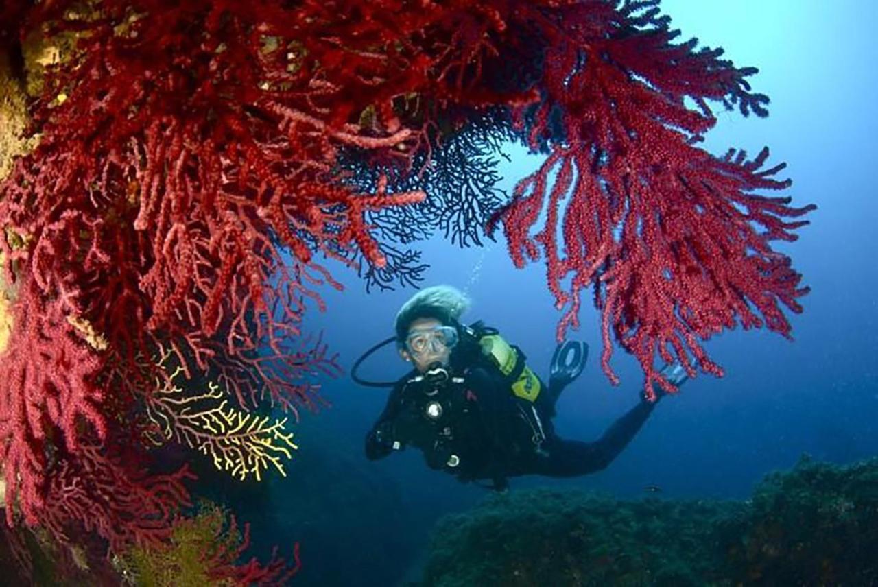 Appartamento Llagut L' Escala Esterno foto